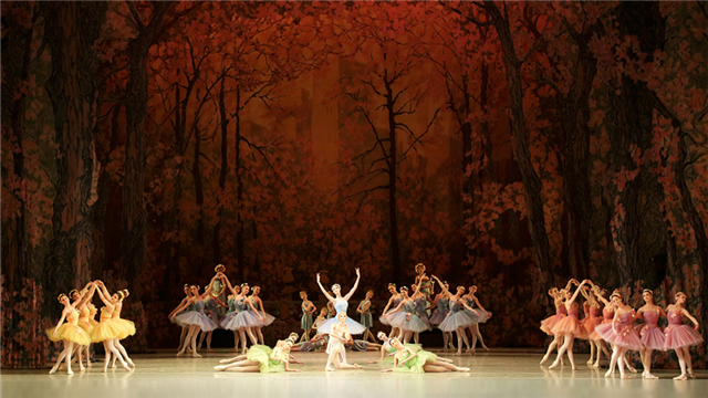 2019国家大剧院舞蹈节：马林斯基剧院芭蕾舞团《堂吉诃德》