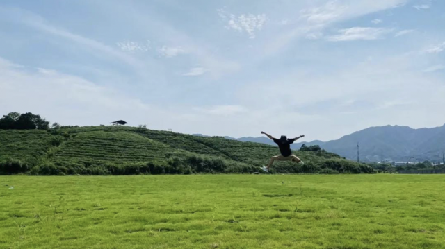 江西马尼拉草坪价格