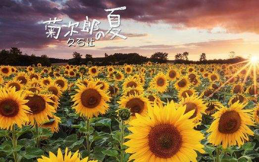 【万有音乐系】菊次郎的夏天—北野武·久石让电影视听音乐会