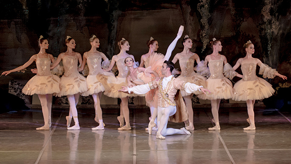 古典芭蕾舞剧《睡美人》-长沙梅溪湖站