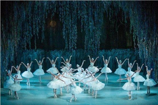 俄罗斯圣彼得堡芭蕾舞剧院《天鹅湖》2019新年巡演---北京站