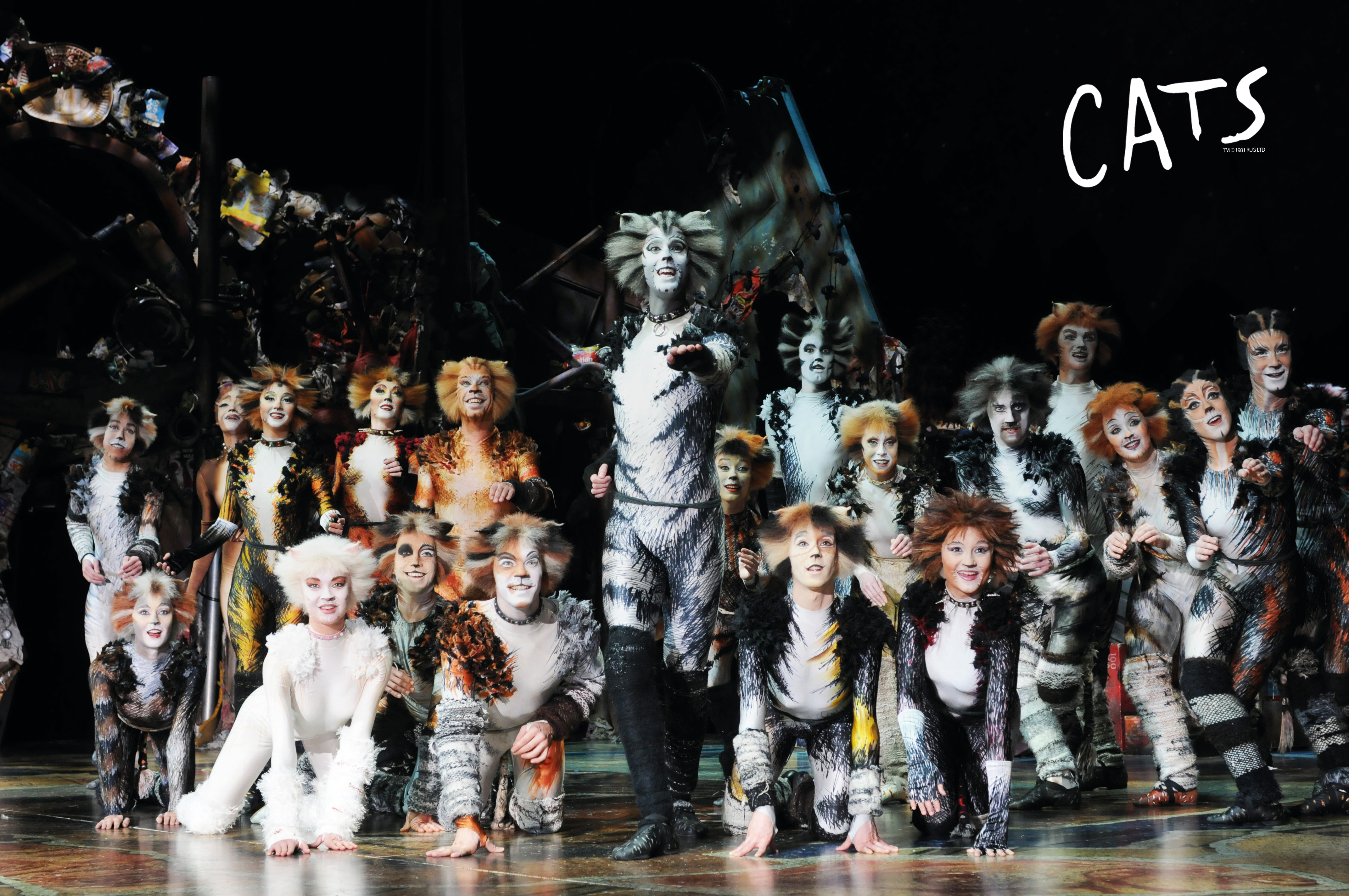 2019年世界经典原版音乐剧《猫》CATS --无锡站