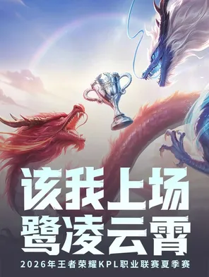 2026年王者荣耀KPL夏季赛决赛 