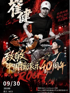 崔健 致敬中国摇滚40周年经典狂欢夜