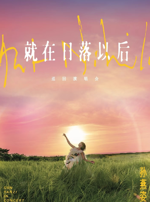 2025孙燕姿［就在日落以后］巡回演唱会-高雄站