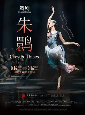 舞剧《朱鹮》厦门