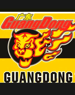 2025-2026赛季CBA联赛东莞赛区广东东阳光主场门票