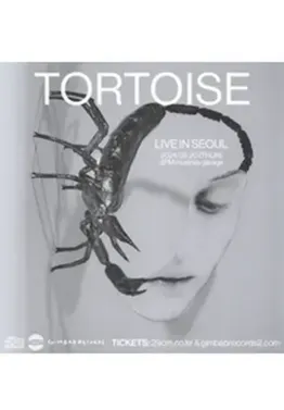 Tortoise Live in 首尔