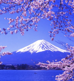 日本单次旅游签证 三年多次旅游签证 五年多次旅游签证