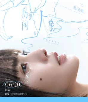 杨丞琳《房间里的大象》巡回演唱会-东莞站