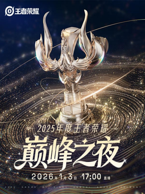 【三亚】2025王者荣耀巅峰之夜