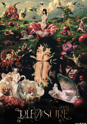 【南宁】JOLIN 蔡依林 PLEASURE世界巡回演唱会-南宁站