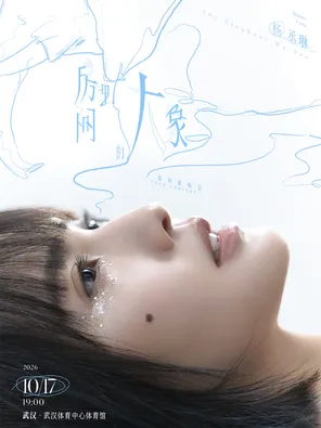 杨丞琳《房间里的大象》巡回演唱会-武汉站