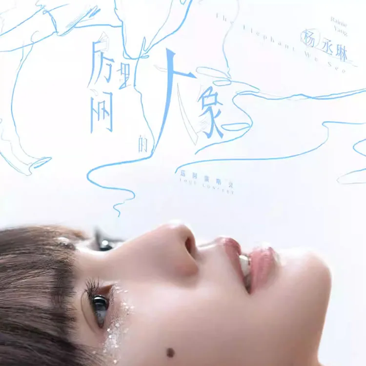 杨丞琳《房间里的大象》巡回演唱会