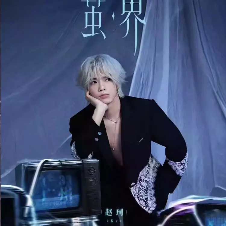 赵珂巡回演唱会