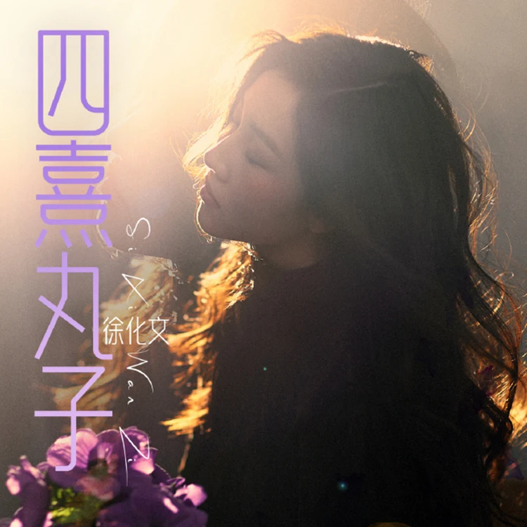 徐化文巡回演唱会