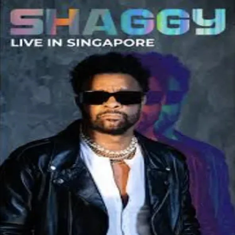 Shaggy巡回演唱会